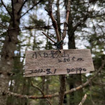 小日影山登頂✨✨

2500m峰　133/151
まだまだ先は長いなぁ〜

看板にDOPPO(どっぽ)と🪧
