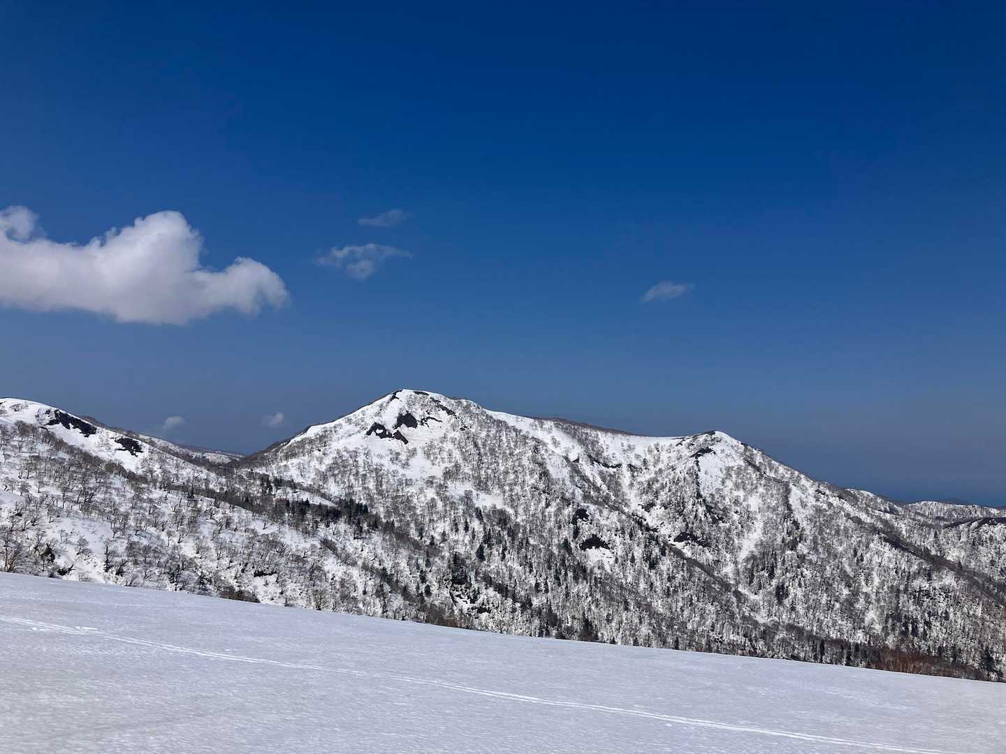 両古美への稜線にたどり着くと、目の前に泥の木山が見えました。結構急だなぁ。