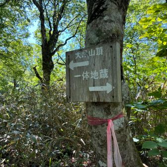一体地蔵分岐から急登のはじまりはじまり