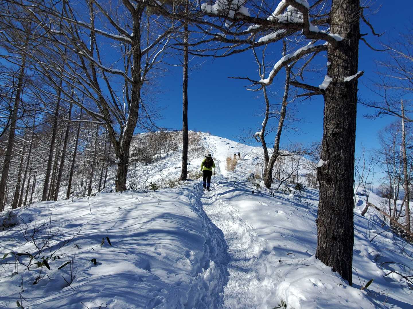息切れ坂を登りきると山頂はもうすぐ‼️