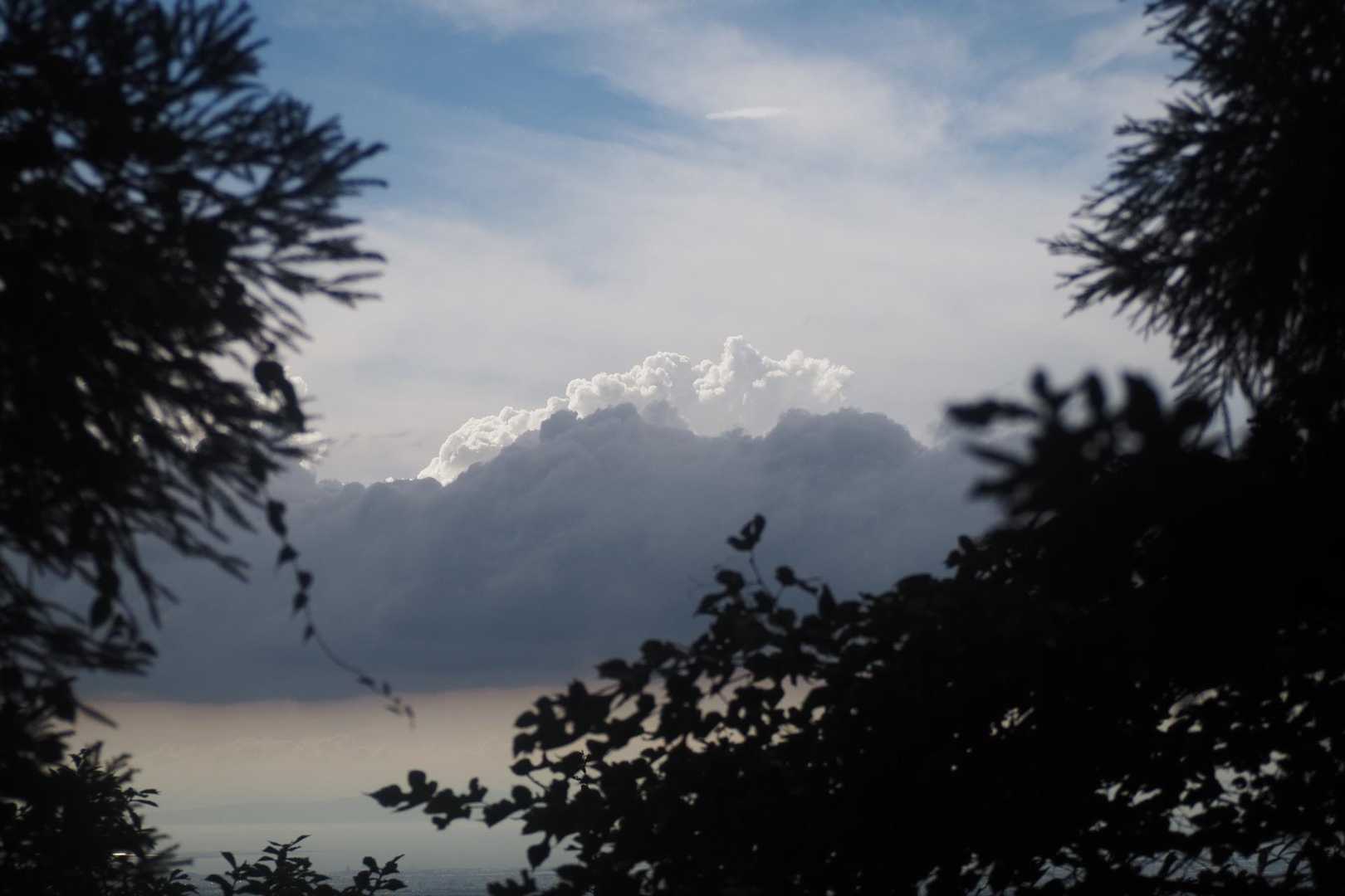 百ヶ辻登山口-金剛山 往復コースの写真