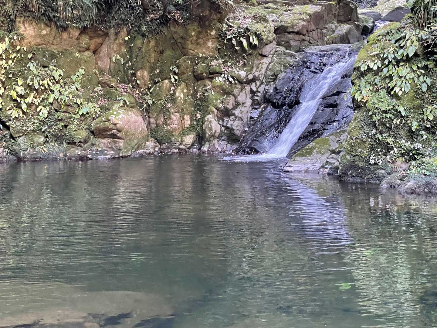 長坂山入山口-長坂山-赤目滝バス停 縦走コースの写真