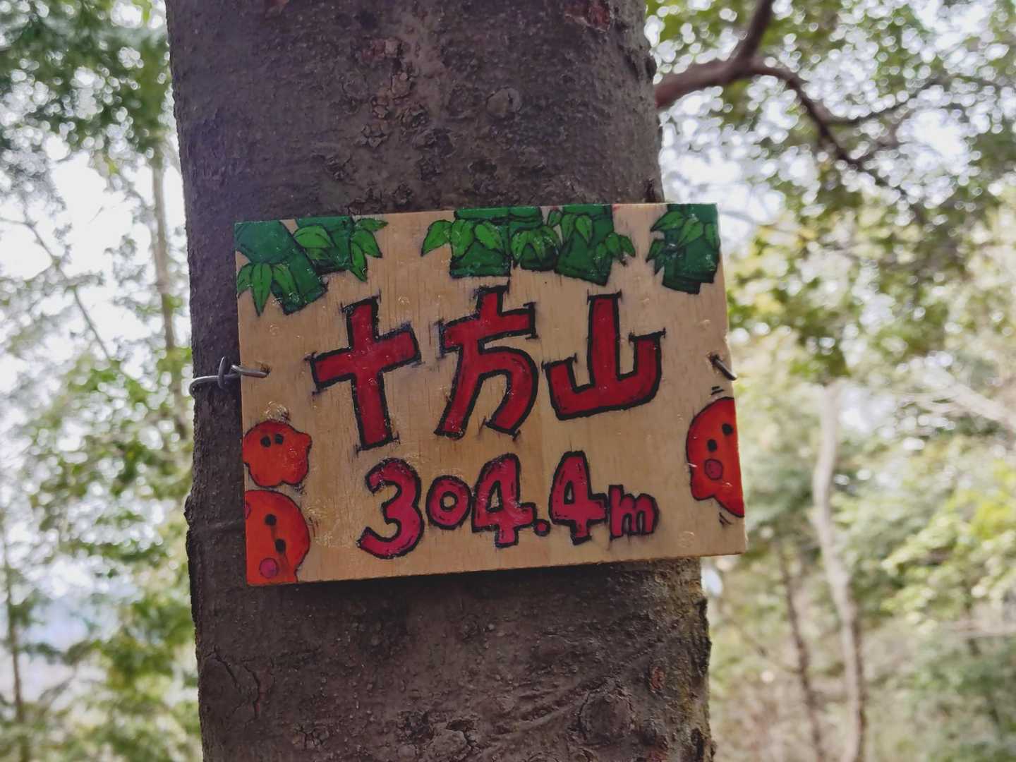 十方山迄　歩き易い道で　鳥の鳴き声が　癒してくれてます😊