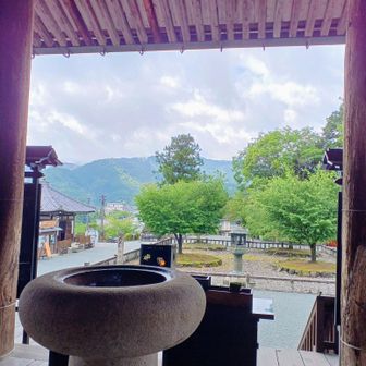 金峯山寺の蔵王堂から見る『四本桜』境内中央に並んでる…春は毎年混雑過多増しになっているらしいので、桜の時期に訪れようとは思わない。