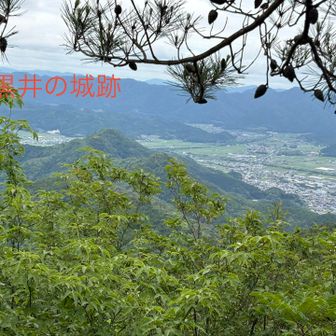 こちらは三日月山から先、高野峠、兵主峠を経て黒井へ。