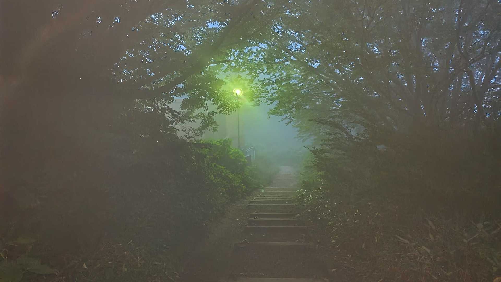 表参道コース | 彌彦神社から始まる、越後人の「心のふるさと」標高634mの霊峰の写真