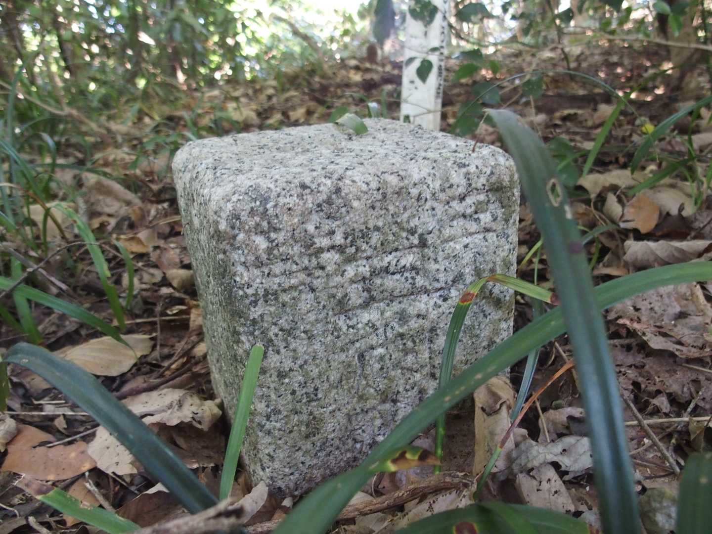 三等三角点(竹越)
