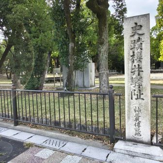 お～い、木が邪魔なんですけど…
目の前の島本駅でゴールです🏁