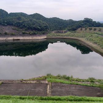 水量回復なれど
体力は底をつく⤵️