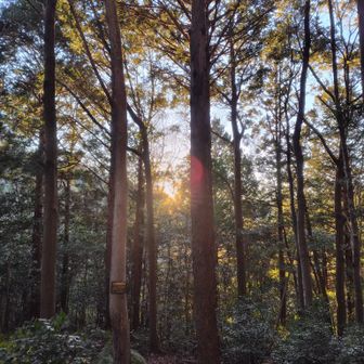 今年最後の日の入り