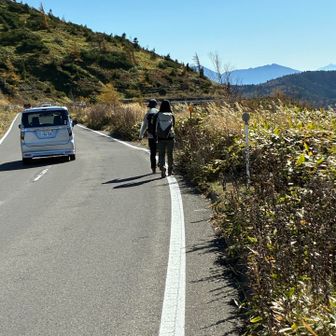ロッキーのところまで歩く🚶‍♂️‍➡️