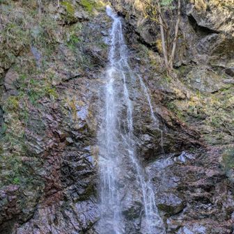 一度来たのでskipしてもよかったけど一応。払沢の滝。先週の千足あたりの滝より水量多め高さもり立派。さすが「日本の滝百選」である。