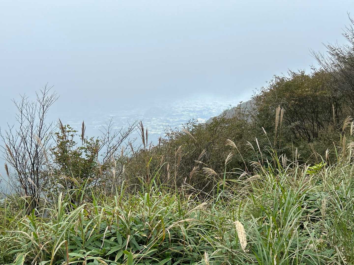 鍋割山 | 山頂に広がる大パノラマ、木漏れ日と岩肌の楽しめる初心者コースの写真