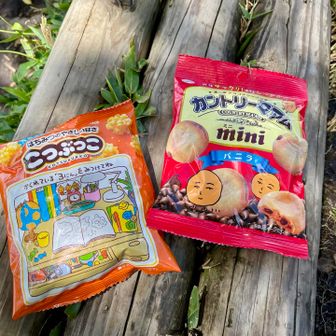 今回のおやつ🍪
こつぶっこを食べて次へ移動🚶‍♂️