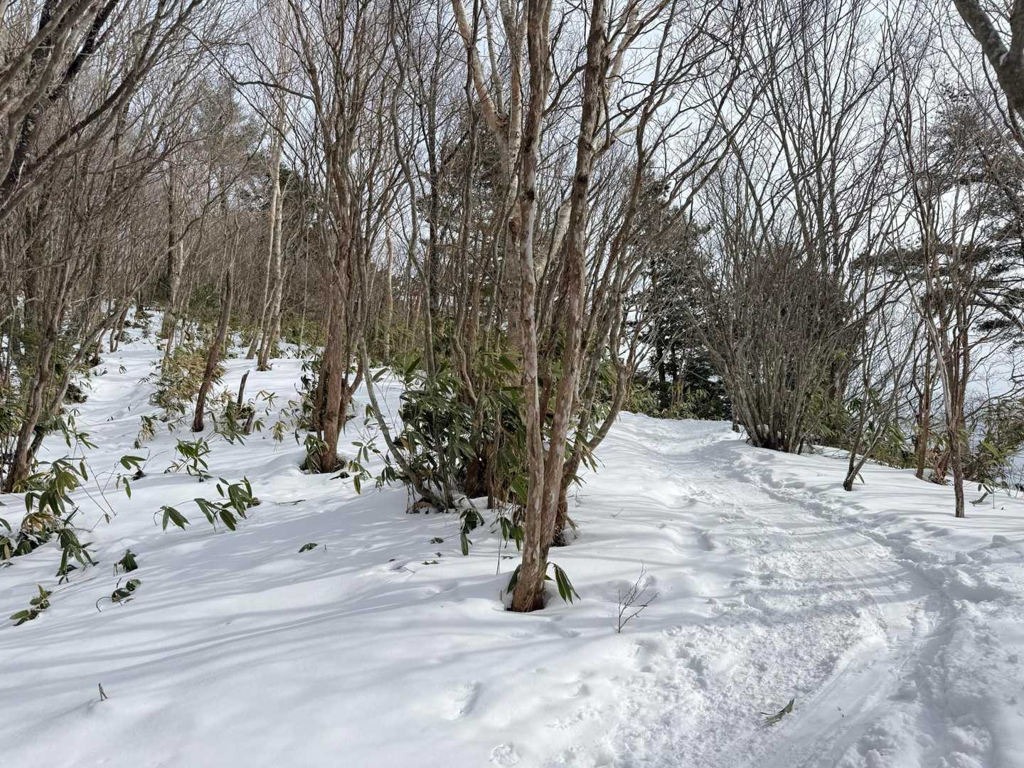 トレースがヒップソリで楽しんでるね！