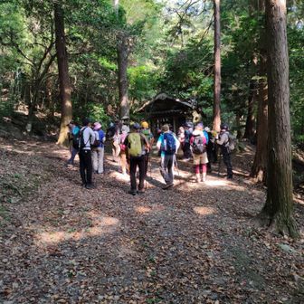須賀神社から祇園岳へ