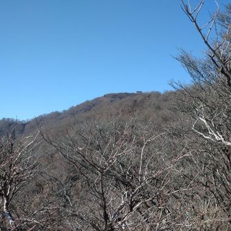 予定変更のラスボス塔ノ岳⛰️