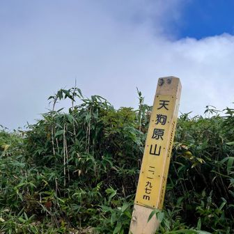 天狗原山山頂到着。2,197m  信州百名山92座目。