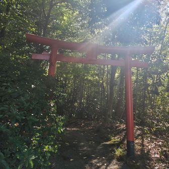この向こうにも、登山口あり…

車に戻る方向へ歩いて…
