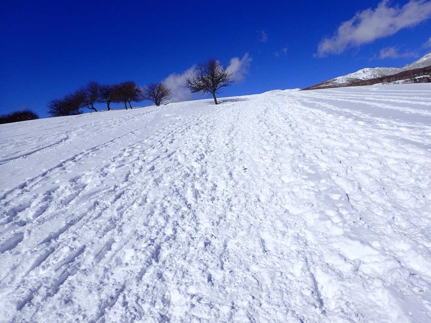 四阿山登山口-四阿山 往復コースの写真