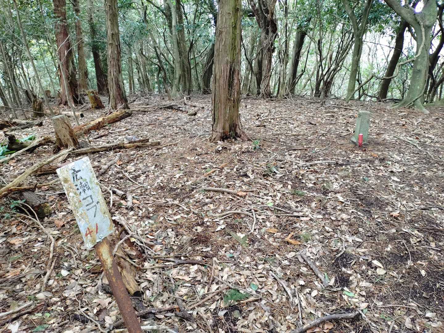 汐見岩から20分余り
広瀬コブ到着。
鬼ケ城から何度もズッコケて
来たことあります。