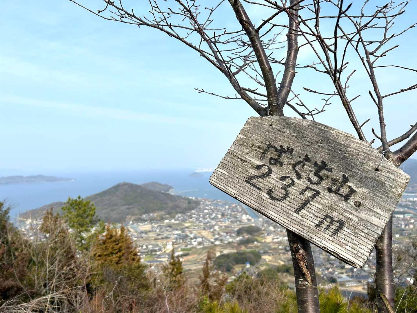 博智山-妙見山 往復コースの写真