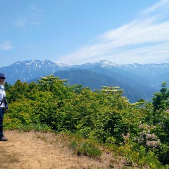 多分ここが大城かなと
ここでおやつと思ったけど日陰ないから戻る😅