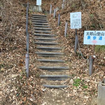 下山。楽しく遊びました。　昨日の忘年会のため午前中は、調子が上がらなかったけれど、山行すればスッキリして元気が出ました。　今年の一年の山に感謝。