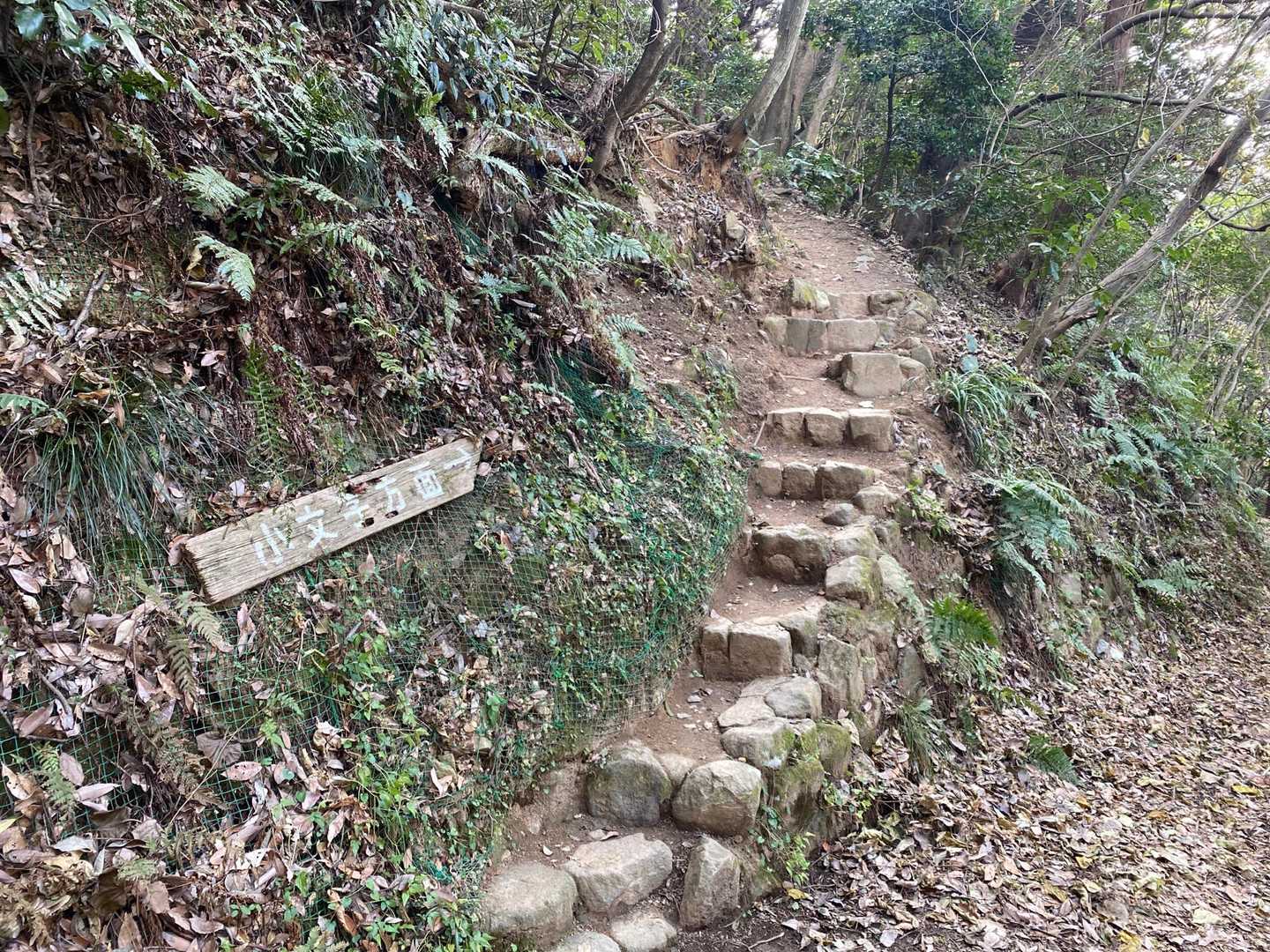 森のプロムナードを経て小文字山へ