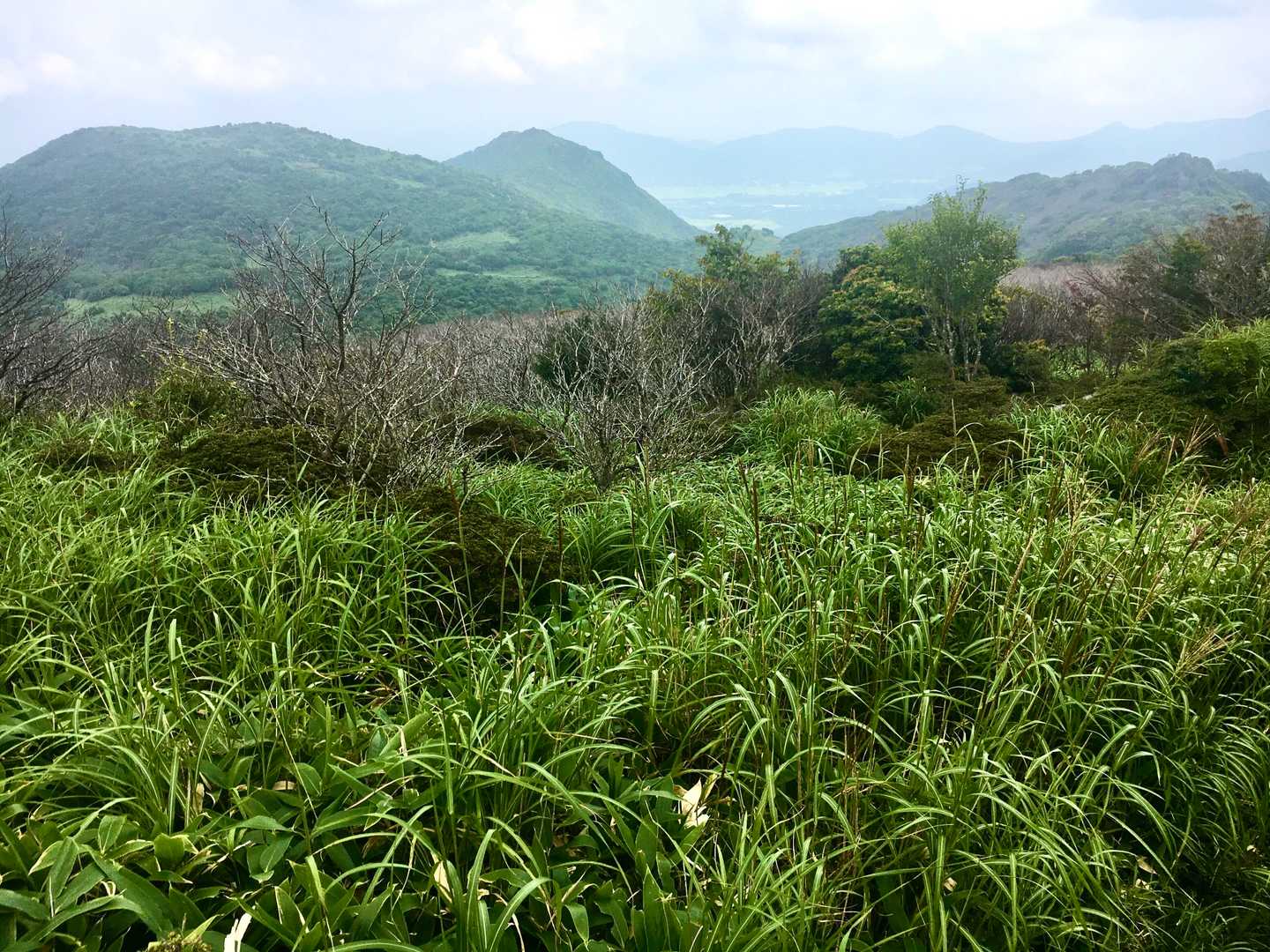 中央に燃えるのが上泉水山。
これからの縦走路は手前のピークの右手前をトラバースして進みます。