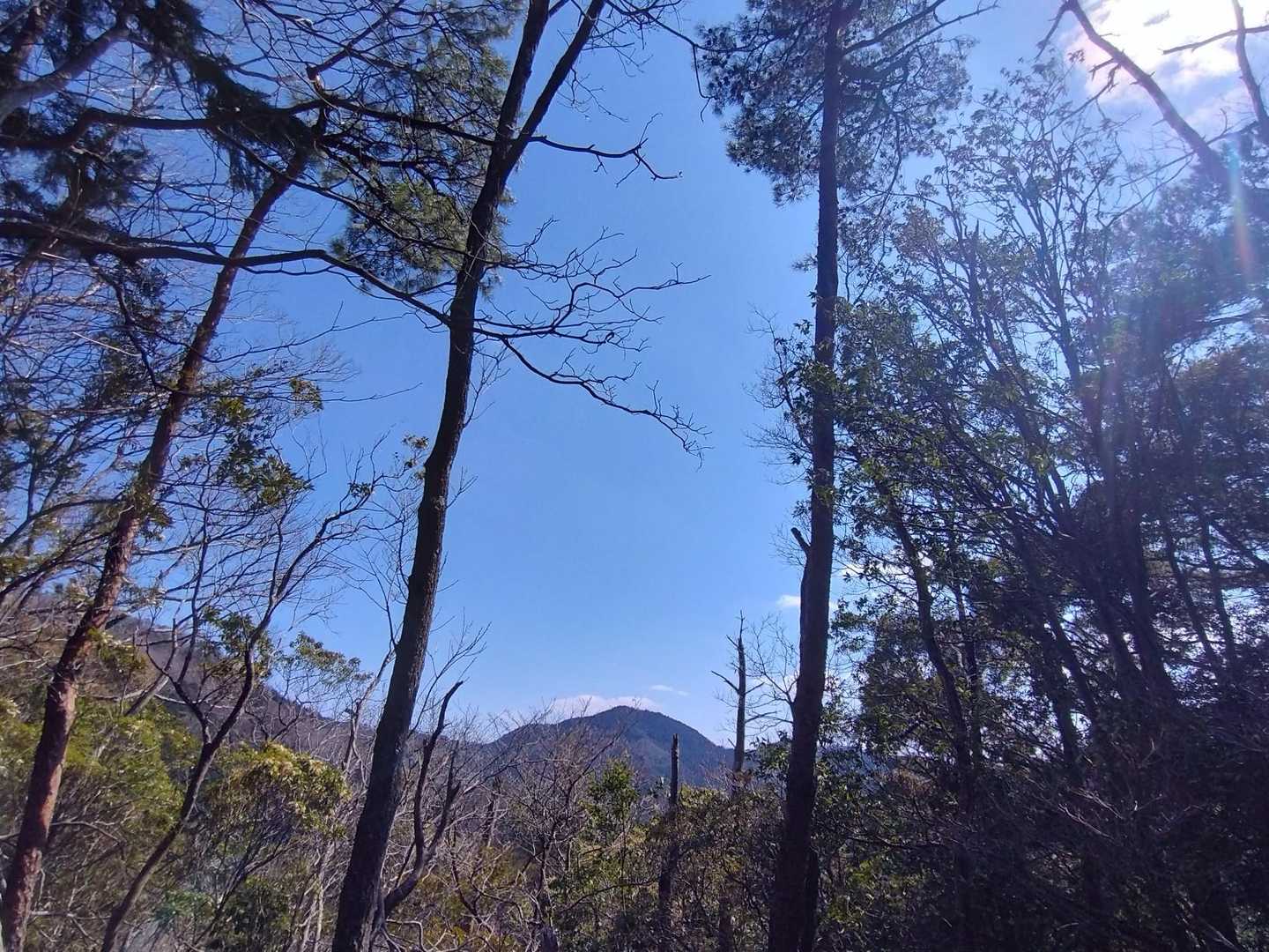歩いて来た山