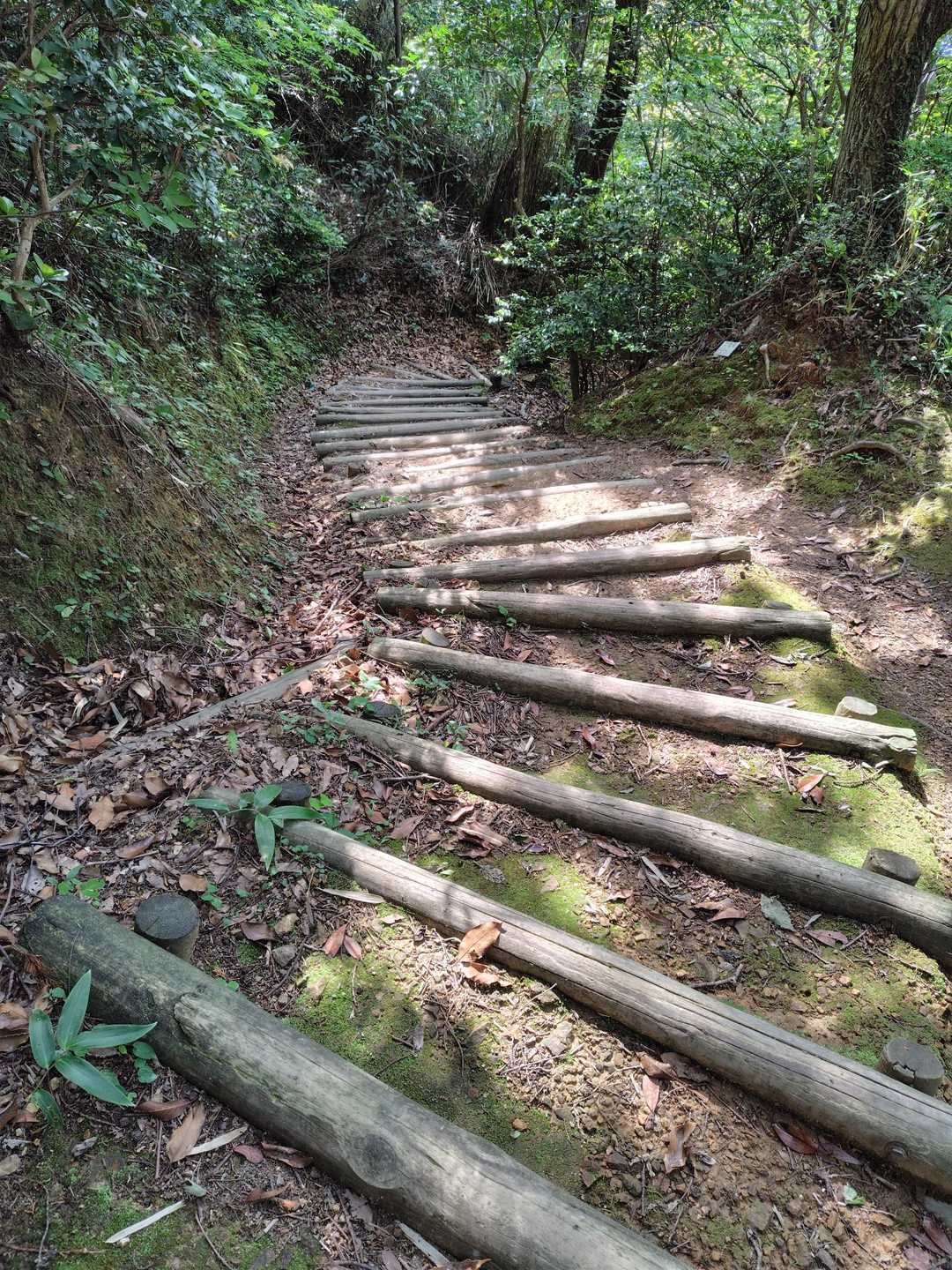 階段コース
下山します🐤🐤🐥