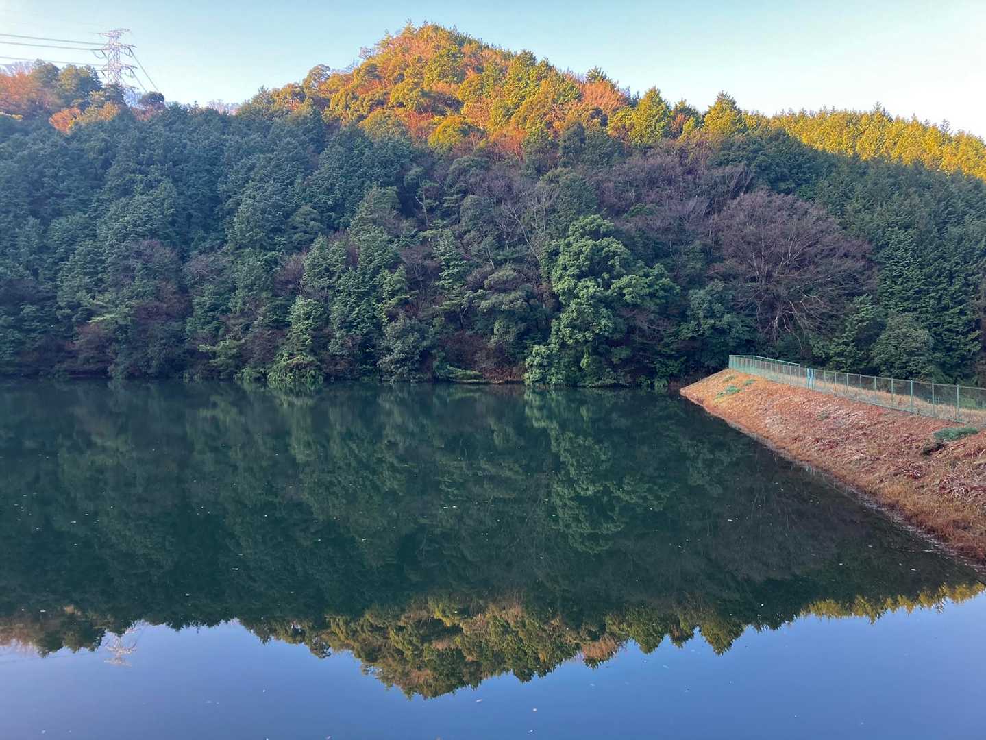 桑谷山 周回コースの写真