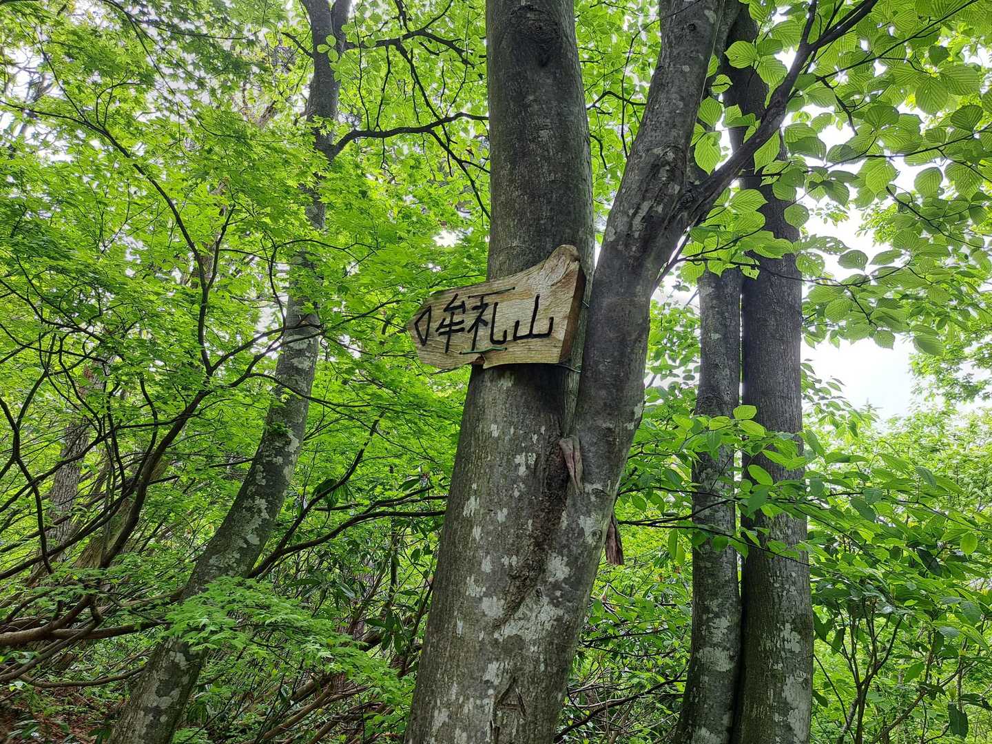 この辺から涼しい