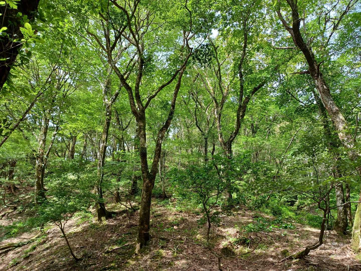 おとわ池の近く。いいね👍️