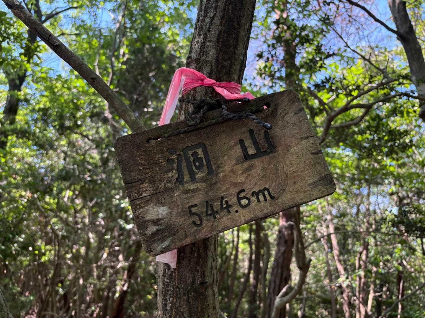 洞山🔺