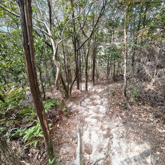 初めて西登山口へ下りてみる
誰ともすれ違わなかったですが、終始よく整備された登山道です