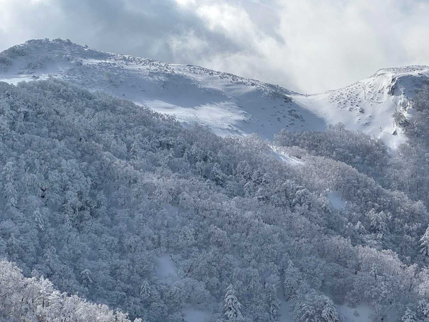 登り返して振り返ると三嶺山頂