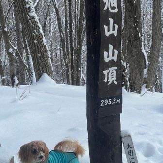 登頂⛰️
大ちゃん今年2座目です✌️