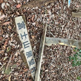 朽ちてる模様でしかも霞んでるから行きませんでした。