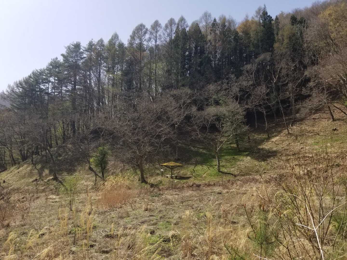 あの東屋が目印です。