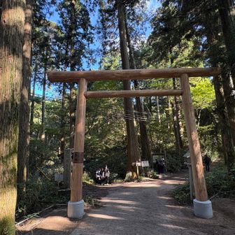 新しくなった一ノ鳥居⛩️✨