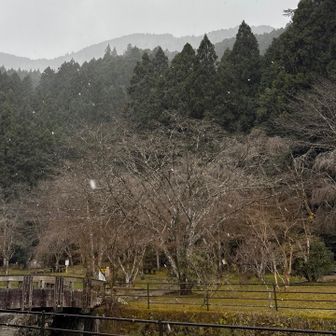 雪はテンション上がる☃️