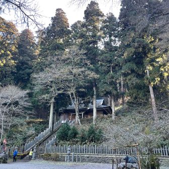 雪はありません
