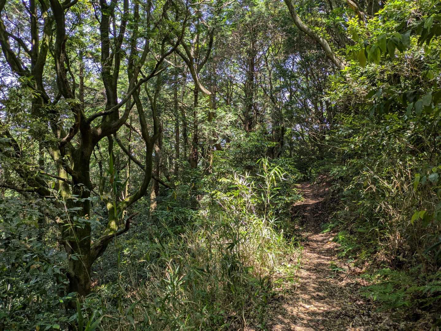 風は涼やか、虫もおらず快適でした
5月末ってもっと暑くなかったかな？
最近、季節感がよくわかりませんね