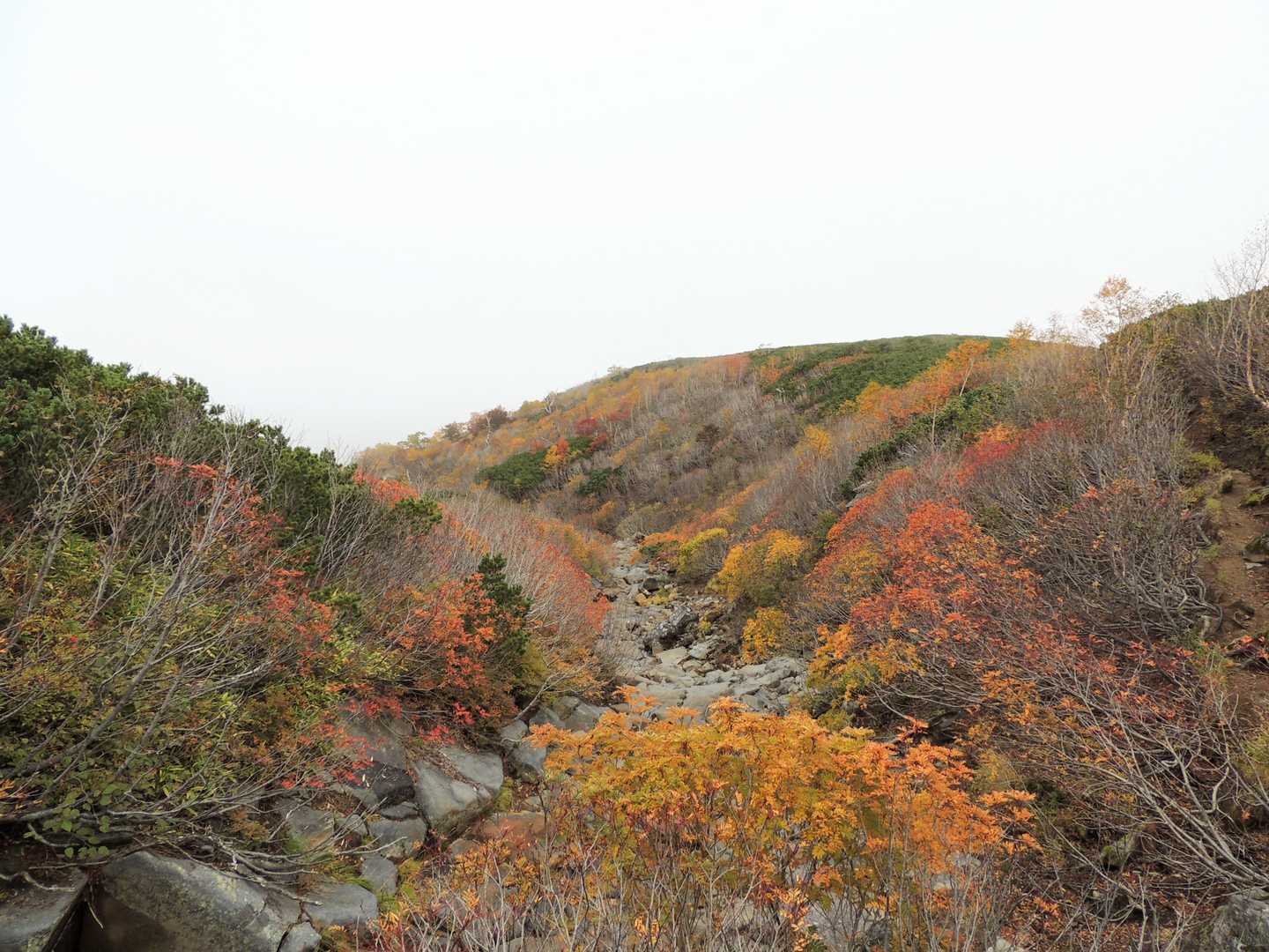 枯れ沢の紅葉も綺麗。
