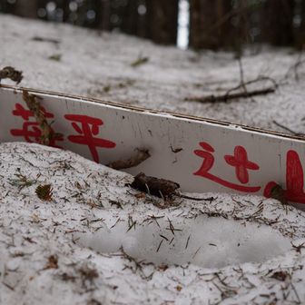 うん。