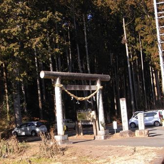 ⛩一ノ鳥居から参道で入山するのが拘りです…
