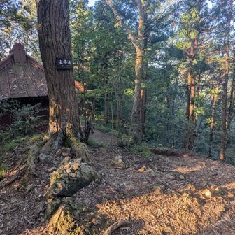 大平山登頂。それなりに登山者とスライドしました。