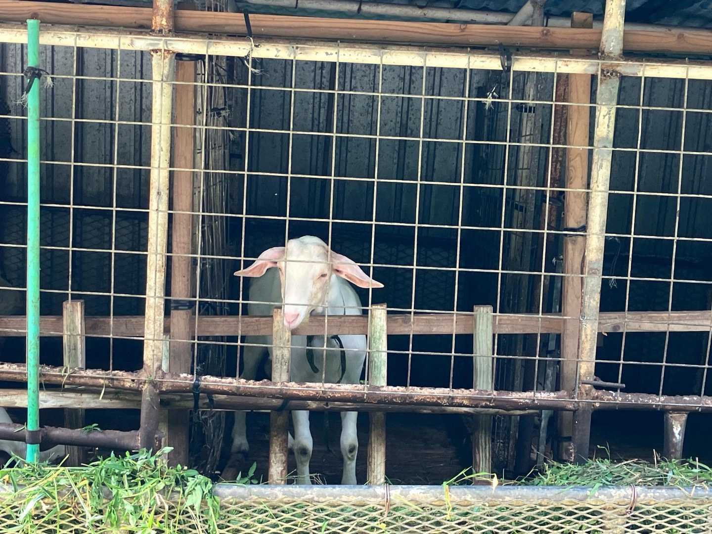 三角山 往復コースの写真